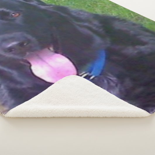 Schöner Tag Sherpadecke (3/4)