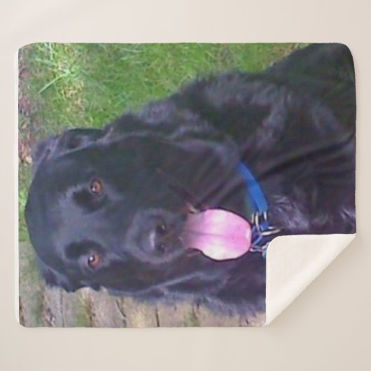 Schöner Tag Sherpadecke (Vorderseite (Horizontal))