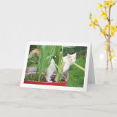 SCHÖNER TAG, WEIL ES "IHR GEBURTSTAG" IST KARTE (Gelbe Blume)