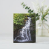 Schöner Tennessee Postkarte (Stehend Vorderseite)