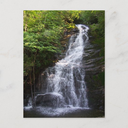Schöner Tennessee Postkarte (Vorderseite)