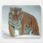 Schöner Tiger im Schnee Mousepad (Vorne)