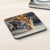 Schöner Tiger im Waterhole Getränkeuntersetzer (Linke Seite)
