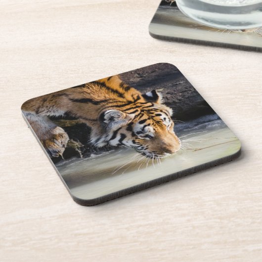 Schöner Tiger im Waterhole Getränkeuntersetzer (Linke Seite)