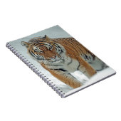 Schöner Tiger in Schnee Notizblock (Rechte Seite)