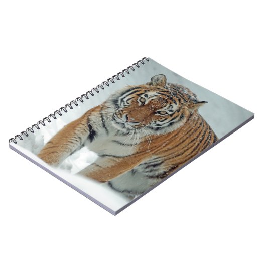 Schöner Tiger in Schnee Notizblock (Linke Seite)