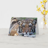 Schöner Tiger-jeder Anlass Karte (Gelbe Blume)