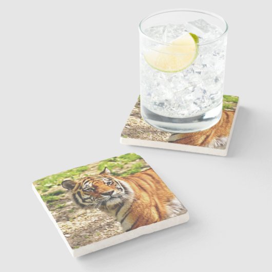 Schöner Tiger Stone Untersetzer (Seitenansicht)