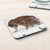 Schöner Tiger und Cube Getränkeuntersetzer (Linke Seite)