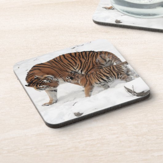 Schöner Tiger und Cube Getränkeuntersetzer (Linke Seite)