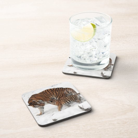 Schöner Tiger und Cube Getränkeuntersetzer (Rechte Seite)