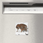 Schöner Tiger und Cube Magnet (In Situ (Geschirrspüler))
