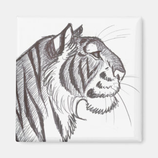 Schöner Tiger-zeichnend Magnet
