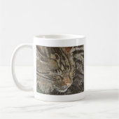 Schöner Träumer (Schlafen Tabby) Kaffeetasse (Links)