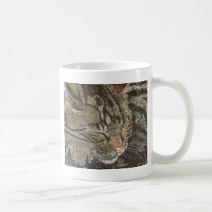 Schöner Träumer (Schlafen Tabby) Kaffeetasse