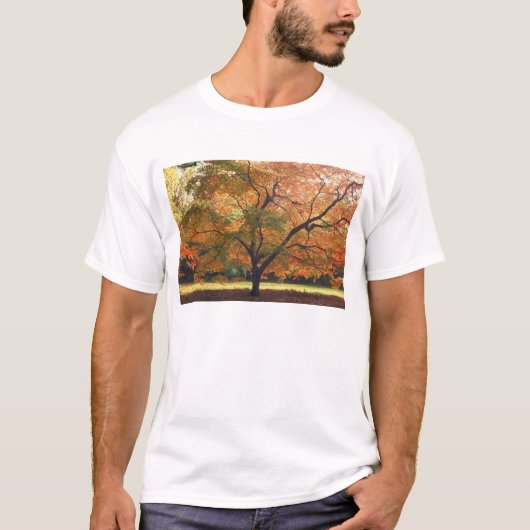 Schöner Tree T-Shirt (Vorderseite)