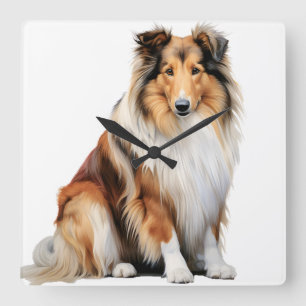 SCHÖNER TRI-FARBENER LANGER HAIRED COLLIE HUND QUADRATISCHE WANDUHR