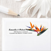 Schöner Tropenvogel der Paradise-Blume (Insitu)