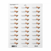 Schöner Tropenvogel der Paradise-Blume (Vorne)