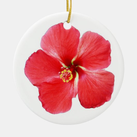 Schöner tropischer Hibiskus Weihnachtsschmuck (Vorne)
