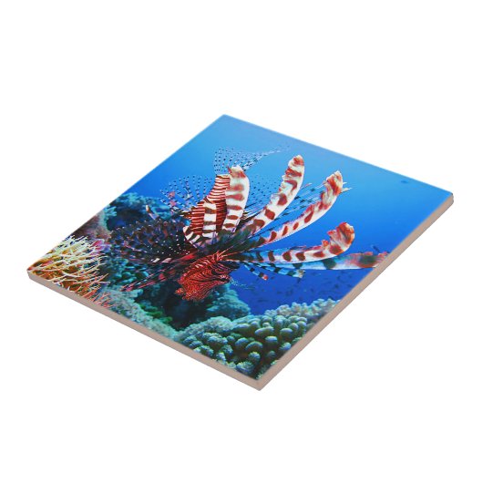 Schöner tropischer Lionfish Fliese (Seite)