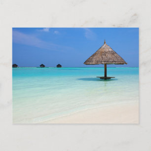 Schöner tropischer Strand auf den Malediven Postkarte