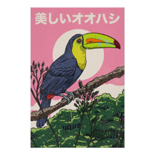 Schöner Tukantukan Vogel Poster