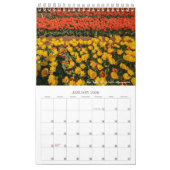 Schöner Tulips Blume Kalender (Jan 2026)