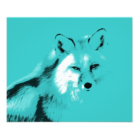 Schöner Türkis Blue Fox Fotodruck (Vorne)
