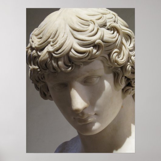 Schöner Typ Antinous Hadrian geliebt Poster (Vorne)