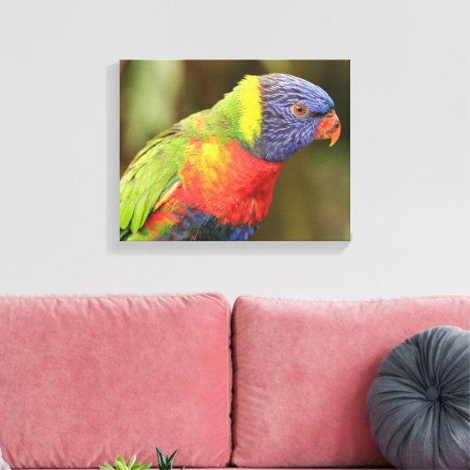 Schöner und farbenfroher Papagei Leinwanddruck (Insitu (Wohnzimmer))
