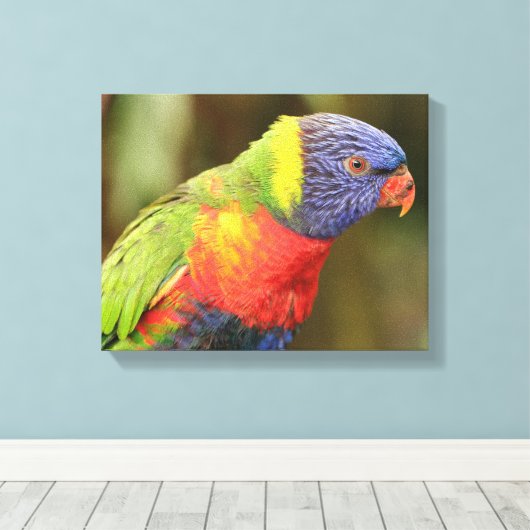 Schöner und farbenfroher Papagei Leinwanddruck (Insitu (Holzboden))