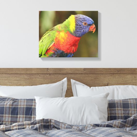 Schöner und farbenfroher Papagei Leinwanddruck (Insitu (Schlafzimmer))