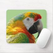 Schöner und farbenfroher Papagei Mousepad (Mit Mouse)