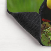 Schöner und farbenfroher Tropenvogel Mousepad (Ecke)