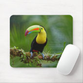 Schöner und farbenfroher Tropenvogel Mousepad (Mit Mouse)