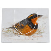 Schöner Varied Thrush am Winterschnee Große Geschenktüte (Vorderseite)