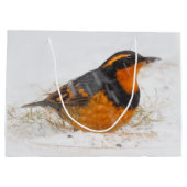 Schöner Varied Thrush am Winterschnee Große Geschenktüte (Rückseite)