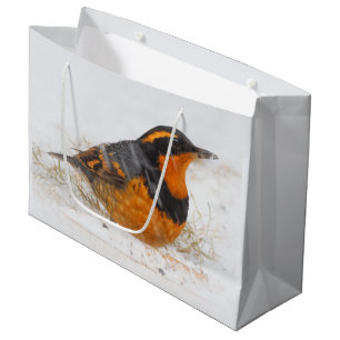 Schöner Varied Thrush am Winterschnee Große Geschenktüte