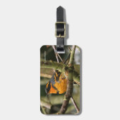 Schöner Varieté-Songbird im Baum Gepäckanhänger (Vorderseite vertikal)