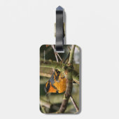 Schöner Varieté-Songbird im Baum Gepäckanhänger (Rückseite vertikal)