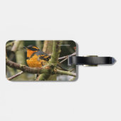 Schöner Varieté-Songbird im Baum Gepäckanhänger (Rückseite horizontal)