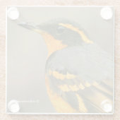 Schöner Varieté-Songbird im Baum Glasuntersetzer (Rückseite)