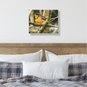 Schöner Varieté-Songbird im Baum Leinwanddruck (Insitu (Schlafzimmer))