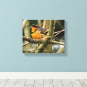 Schöner Varieté-Songbird im Baum Leinwanddruck (Insitu (Holzboden))