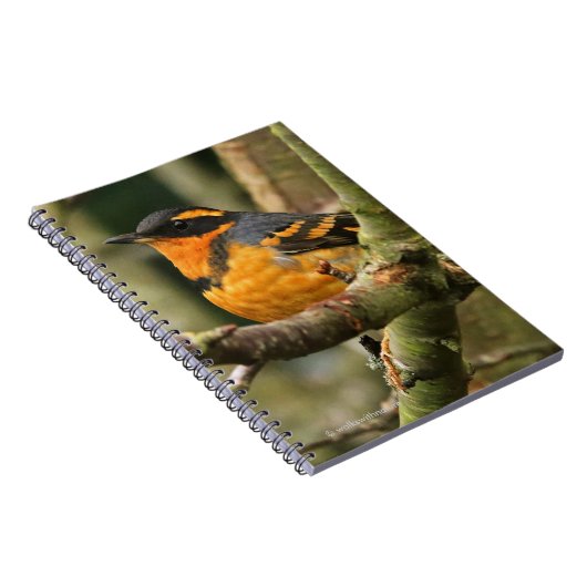 Schöner Varieté-Songbird im Baum Notizblock (Rechte Seite)