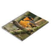 Schöner Varieté-Songbird im Baum Notizblock (Linke Seite)