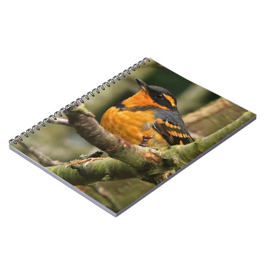 Schöner Varieté-Songbird im Baum Notizblock (Linke Seite)