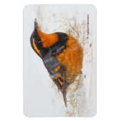 Schöner Varieté-Songbird im Schnee Magnet (Vertikal)