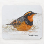 Schöner Varieté-Songbird im Schnee Mousepad (Vorne)